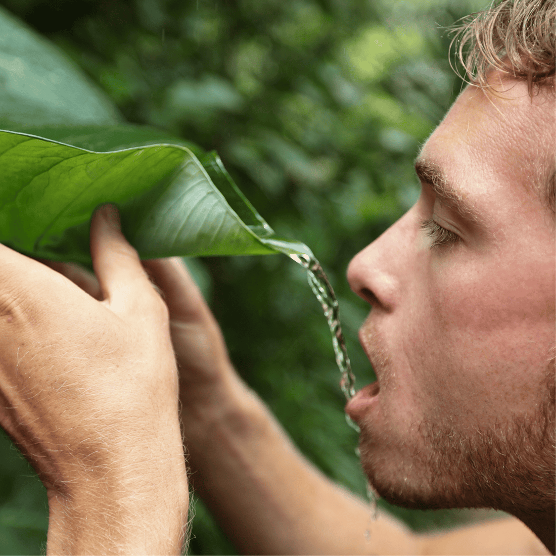 מים חיים - כל מה שתצטרכו לדעת על מים חיים
