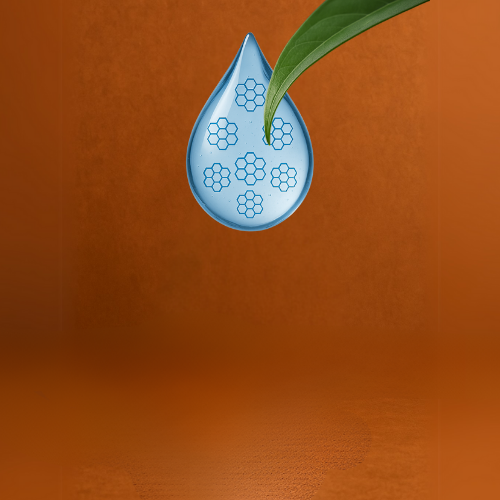 שמים מול ברי מים