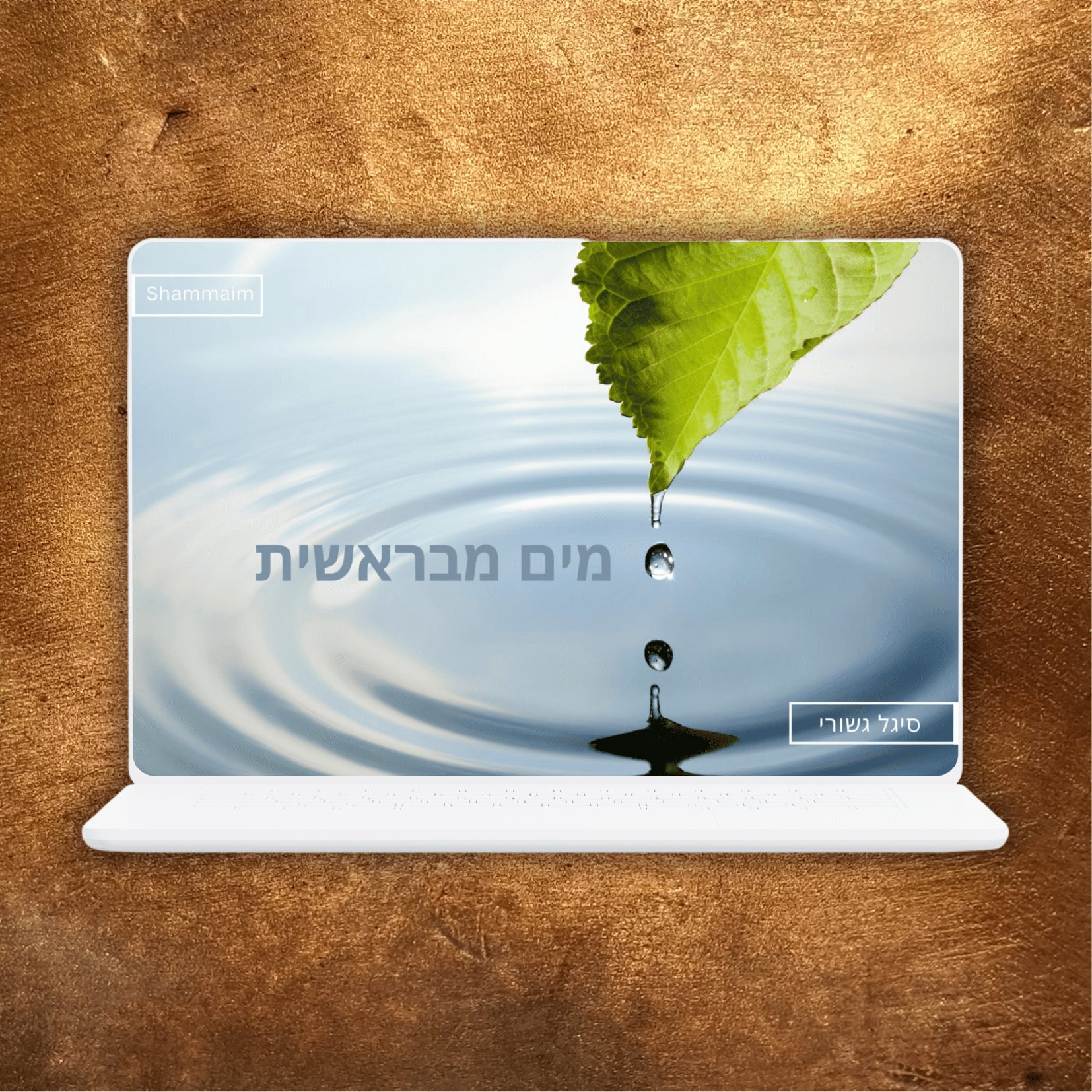 סודות הריפוי של  המים - Shammaim